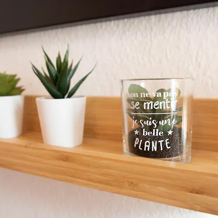 Green Appart Le Chene Rouge Avec Jardin Prive * Mulhouse