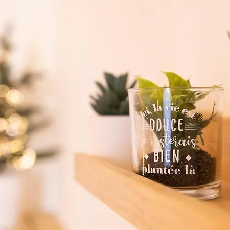 Green Appart Le Chene Rouge Avec Jardin Prive Daire Mulhouse