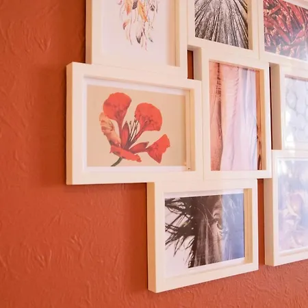 Apartamento Green Appart Le Chêne Rouge Avec Jardin Et L'epicéa 1er étage Mulhouse