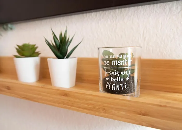 Green Appart Le Chene Rouge Avec Jardin Prive * 牟罗兹